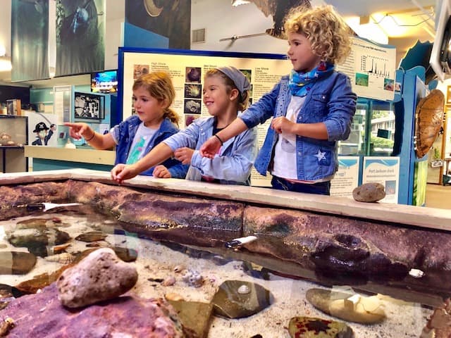 a kids activites central coast highlight playing at Marine Centre